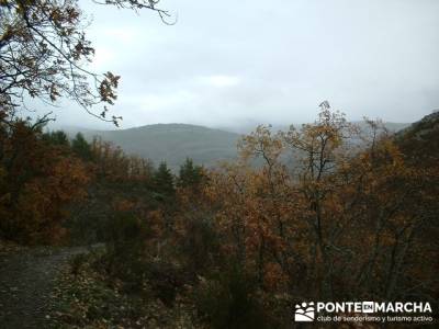 Parque Natural de Tejera Negra; excursiones alrededor de madrid; cerezo en flor valle del jerte